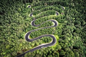 Winding road in the forest